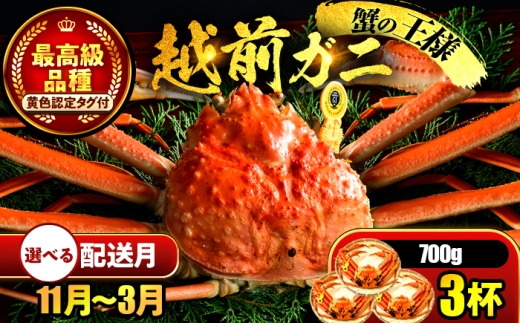 【先行予約】 【希望月指定可】 越前がに 700ｇ×3杯 / 蟹 ズワイガニ ずわいがに ボイル 冷蔵 小浜市 / まるほ商店 【配送不可地域：北海道・沖縄・離島】[BFCS023]
