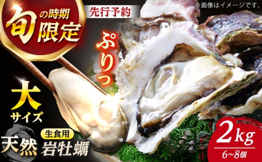 【先行予約/6月中旬より順次発送】【期間限定】若狭の天然岩牡蠣（生食用）2kg 6〜8個入り【配送不可地域：北海道・沖縄・離島】 小浜市 / 桝屋商店 [BFAO013]