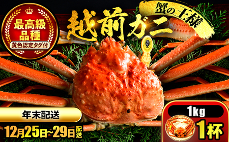 越前がに 【先行予約/12月25日より順次発送】【年末希望】 越前がに 1kg×1杯 ズワイガニ ずわいがに ボイル 冷蔵 小浜市 / まるほ商店 【配送不可地域：北海道・沖縄・離島】[BFCS045]