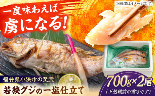 若狭グジの一塩仕立て 700g×2尾   小浜市 / まるほ商店 【配送不可地域：北海道・沖縄・離島】  [BFCS004]