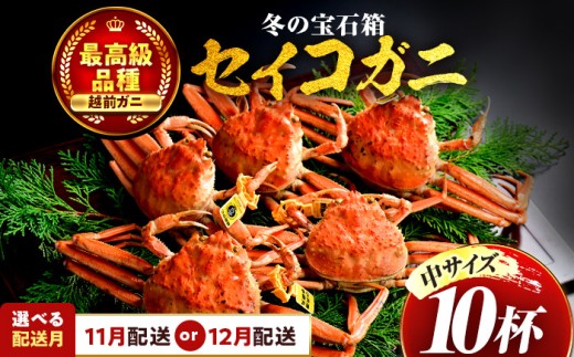 【先行予約】 【12月配送】 セイコガニ（ズワイガニのメス）中サイズ 10杯  小浜市 / まるほ商店 【配送不可地域：北海道・沖縄・離島】[BFCS017-12]