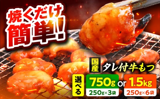 【小分け】 【秘伝のタレ付】 牛 もつ セット 4〜5人前｜小分け 3袋 計750g  国産 味噌 もつ鍋 焼肉 時短 簡単 小腸  国産牛 ホルモン おつまみ 真空 冷凍 大ぶり 簡単調理 グルメ 忘年会 コラーゲン しょうちょう 鍋 バーベキュー 焼き肉 牛肉 肉 もつ モツ 内臓 モツ鍋 もつなべ 味噌味  小浜市 タレ 味付   【配送不可地域：北海道・沖縄・離島】  [BFAP007]