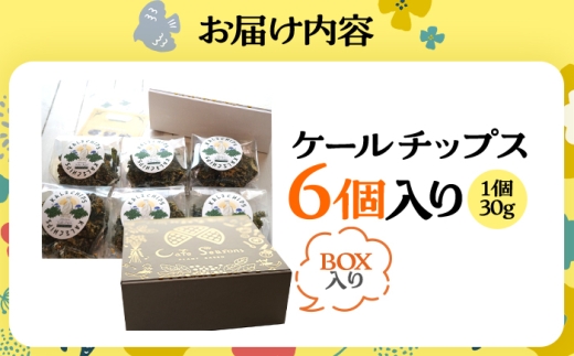 ケールチップス CafeSeasons 手作り 国産ケール使用 カシューナッツとスパイス仕立て / ヘルシー おやつ プラントベース おつまみ 小浜市 / Cafe Seasons [BFCC011]