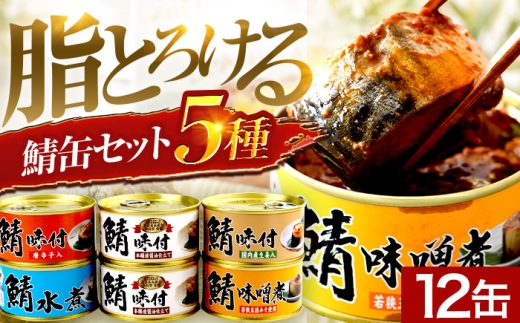 【チョイス缶詰・瓶詰ランキング第2位獲得！】鯖缶詰12缶詰め合わせＡ 180g×12缶｜サバ缶 鯖缶 さば缶 鯖 サバ さば 缶詰 サバ缶詰 鯖缶詰 缶 詰合せ 詰め合せ セット 非常食 防災 備蓄 常温 常備食 保存食 [BFAB034]