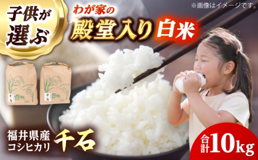 【 先行予約 /10月以降配送】【令和7年産】福井県産コシヒカリ「千石」 10kg 小浜市 / 千石の郷 [BFCA001]