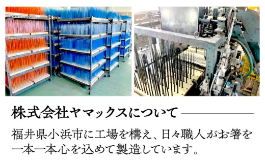 若狭塗箸　【食洗機対応】持ちやすい木彫り箸　にっぽんの伝統色５膳セット [BFCL003]