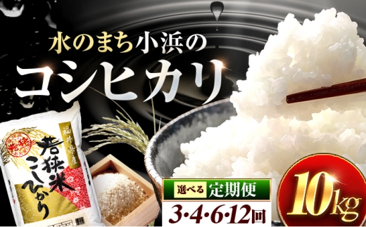 【6回定期便/2ヵ月に1回】 福井県産 コシヒカリ 精米 (白米) 10kg 一等級　福井県米 /甘みと粘りが際立つ 王道米 こしひかり 小浜市 / 若狭ふれあい市場 [BFEL033]