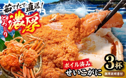 若狭小浜 茹で ボイル セイコガニ 3杯 調理方法の写真入り説明書付き 【冷蔵】 / コッペガニ 蟹 せいこ 香箱ガニ せいこがに カニ 蟹 かに こっぺ  雌 メスガニ 小浜市 / 桝屋商店 【配送不可地域：北海道・沖縄・離島】  [BFAO009]