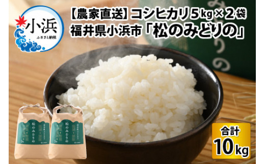 【農家直送】コシヒカリ　5kg×2袋　令和6年産　福井県小浜市「松のみどりの」 [BFBD002]