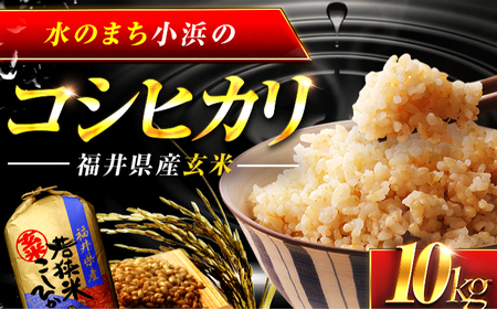 福井県産 コシヒカリ 玄米 10kg 一等級 /甘みと粘りが自慢 王道米 こしひかり 小浜市 / 若狭ふれいあい市場 [BFEL001]