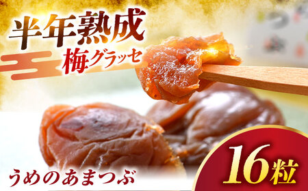 福井県産うめのあまつぶ（梅グラッセ）　16粒入 [BFAU004]