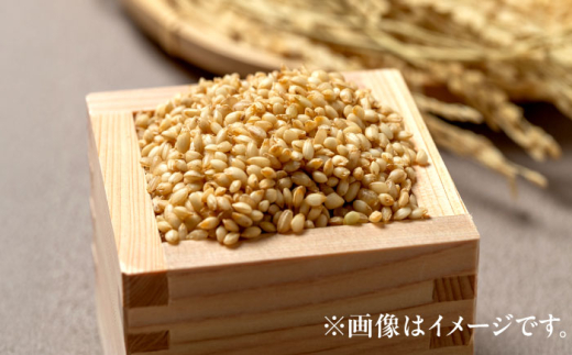 【令和8年産 新米】 【先行予約 /8月下旬より順次発送 】 ハナエチゼン 玄米 10kg×2 （20kg） / 米 お米 健康 小浜市 / 北川博司 [BFDG005]