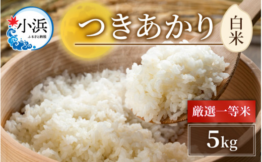 【令和6年産】福井県産つきあかり　白米5kg [BFAG008]