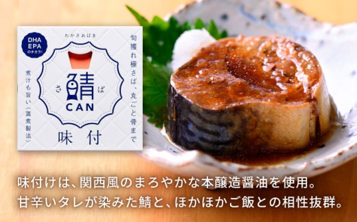 旬獲れ 鯖缶詰　3ヶ詰め合わせ(味付・味噌・水煮)×2セット [BFAA055]