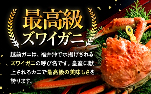 【先行予約】 【12月配送】 越前がに 700ｇ×1杯 小浜市 / まるほ商店 【配送不可地域：北海道・沖縄・離島】[BFCS021-12]