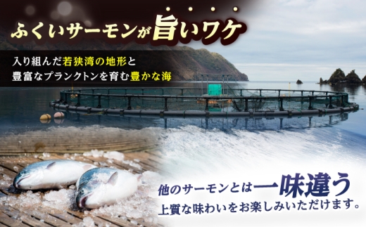 国産 ふくいサーモン 200g×6パック 計1.2kg  【配送不可地域：北海道・沖縄・離島】  [BFAA073] 
