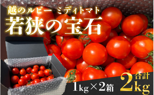 越のルビー 「若狭の宝石」 ミディトマト 1kg×2箱　計2kg / トマト 野菜 小浜市 / 北川農園 [BFDH001]