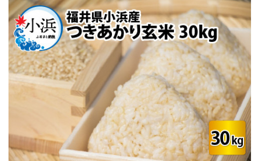【令和6年産】福井県産つきあかり 玄米 30kg 若狭の恵 [BFAG010]