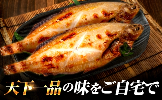 献上鰈 上品な味わい 若狭かれい一夜干し 約100g×10尾セット / 干物 魚介 冷凍 ギフト 小浜市 / まるほ商店 【配送不可地域：北海道・沖縄・離島】 [BFCS060]