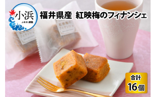 福井県産　紅映梅(べにさしうめ)のフィナンシェ　16個入 [BFAU001]