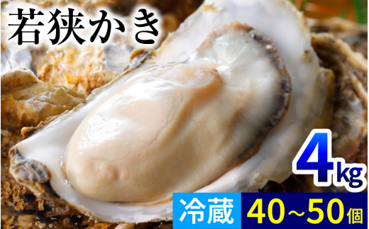【期間限定】若狭小浜ブランド 若狭かき（加熱用）4kg 40〜50個入り | 牡蠣 かき カキ 真牡蠣 加熱用牡蠣 殻付き牡蠣 カンカン焼き 貝 生牡蠣 冷蔵  【配送不可地域：北海道・沖縄・離島】  [BFAO012]