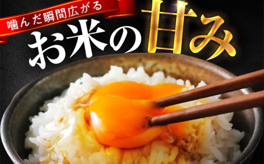 【7月発送】小浜市産コシヒカリ 精米 10kg 若狭の自然が育てたごはん 国産米 福井県 / 白米  地域密着 米問屋 小浜市 / 梅田東米穀店 [BFEK008]