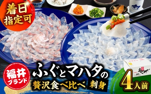 若狭ふぐ 若狭まはた てっさとまはたの刺身セット [冷蔵] 4人前 小浜市【着日指定可能】てっさ とらふぐ 刺身 まはた 福井県産 産地直送 若狭ふぐの宿 下亟【配送不可地域：北海道・沖縄・離島】[BFAF020] トラフグ ふぐ フグ 刺身 てっさ ふぐ刺し ふぐ皮 高級魚 本場 若狭 旬 お取り寄せ 低カロリー 低脂肪 コラーゲン　ブランド 送料無料 満喫 贅沢 高級魚 本場 養殖