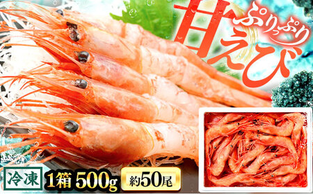 日本海 甘えび 500g (約50尾)×1箱 / 冷凍 あまえび アマエビ 甘エビ 福井県 小浜市 / 小浜海産物 ?【配送不可地域：北海道・沖縄・離島】 [BFAA082]