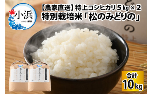 【農家直送】特上 コシヒカリ 5kg × 2袋 令和6年産 特別栽培米 福井県小浜市 「松のみどりの」 [BFBD004]