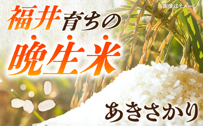 【先行予約/10月下旬以降順次発送】【令和8年産】 福井県産 あきさかり 白米 10kg 若狭の恵 | 米 お米 新米 コメ こめ 白米 精米 10キロ [BFAG014]