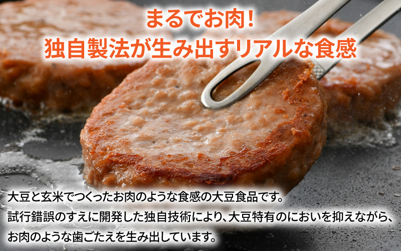 大豆と玄米のベジミート3種セット　計12袋（各4袋）