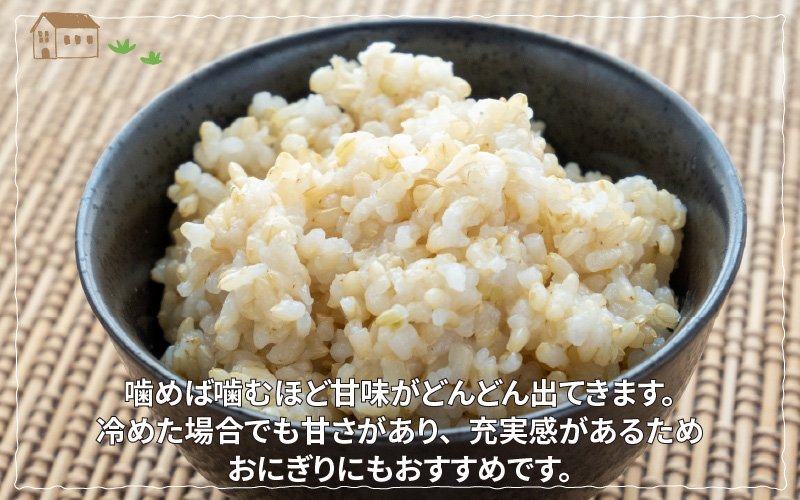 【新米・先行予約】【令和4年産】ピロール農法 コシヒカリ 玄米 5kg（5kg × 1袋）真空パック【10月以降順次発送】