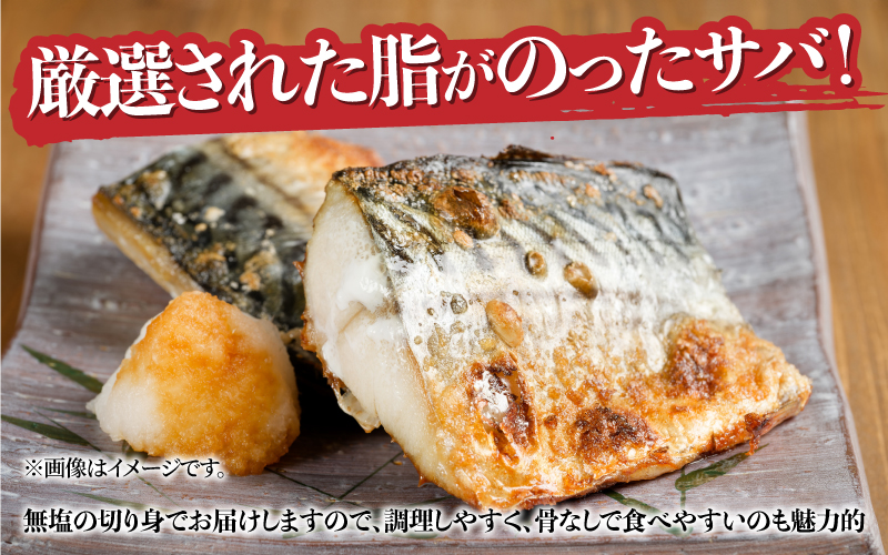 サバエのサバ！　鯖　無塩　冷凍切り身　1.2kg