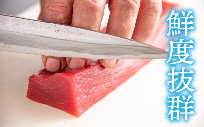 【定期便】【2ヶ月連続お届け】 刺身用！本マグロ赤身（柵どり）1kg × 2回【最新の冷凍技術】