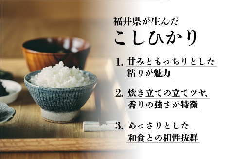 【令和7年産】コシヒカリ 5kg（5kg × 1袋）