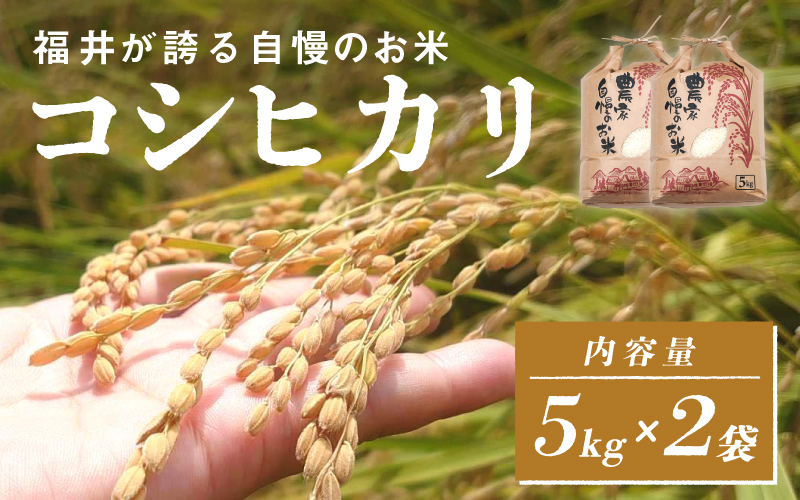 令和6年産　コシヒカリ　通常便（1回配送）計10kg（5kg×2袋）