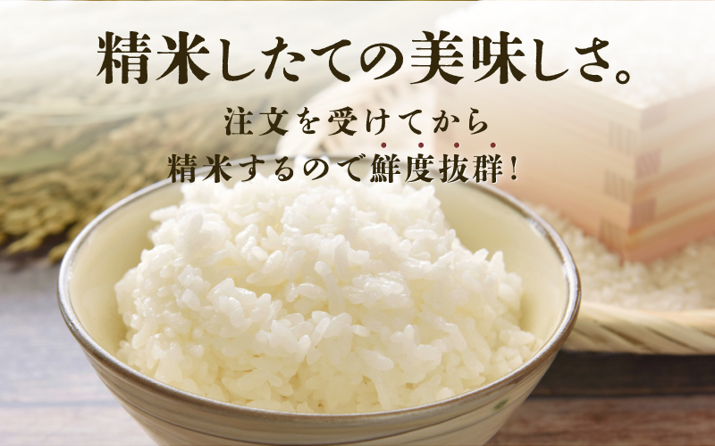 令和6年産　コシヒカリ　通常便（1回配送）計10kg（5kg×2袋）