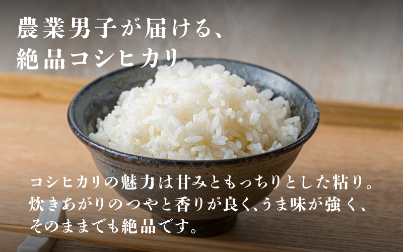 令和6年産　コシヒカリ　定期便（3ヶ月連続お届け）計30kg（(5kg × 2袋) × 3ヶ月）