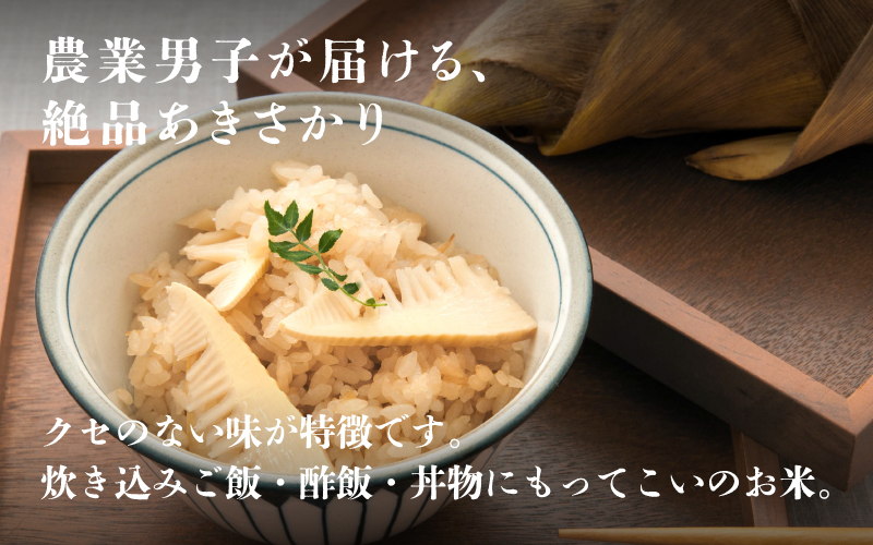 令和6年産　あきさかり　定期便（3ヶ月連続お届け）計30kg（(5kg × 2袋) × 3ヶ月）