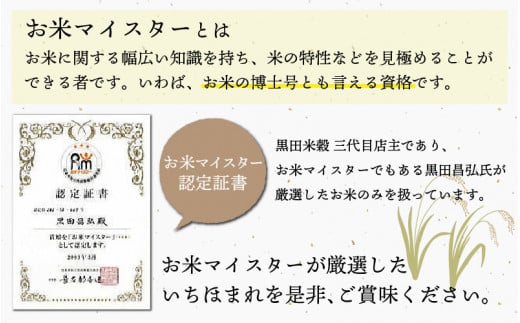 令和7年産 いちほまれ 5kg（5kg × 1袋）