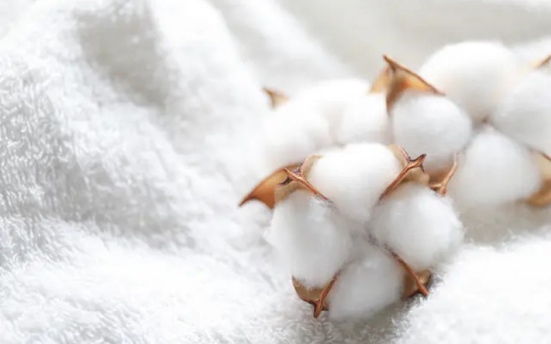 鯖江の眼鏡職人が手作りした、プレミアムゴルフマーカー パープル