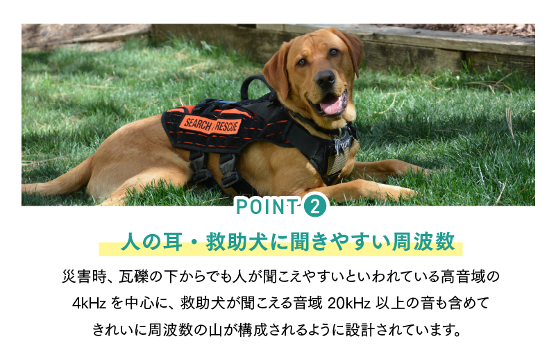 effe pensiero縲繝代Φ繝讓ェ蠎ァ繧