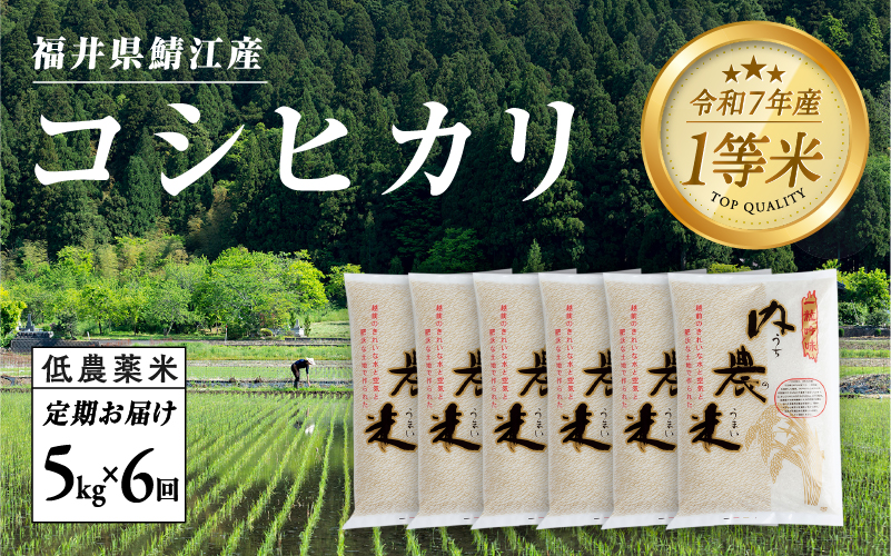 【令和7年産 新米！】【６ヶ月連続お届け】福井県産 内農米コシヒカリ定期便 5kg × 6回 計30kg