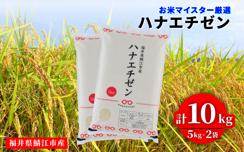 莉、蜥7蟷エ逕」 繝上リ繧ィ繝√ぞ繝ウ 10kgシ5kg テ 2陲具シ