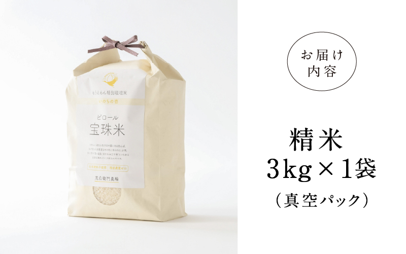 ã什å7幎ç£ããããŒã«èŸ²æ³ å®ç ç±³ ãã®ã¡ã®å£±