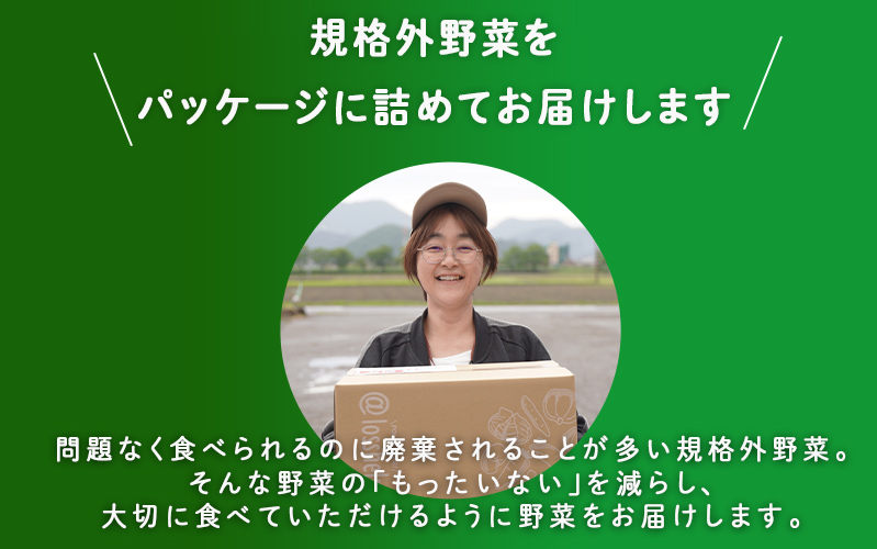 多数のメディアで紹介されました！【訳あり】旬のもったいないお野菜詰め合わせセット