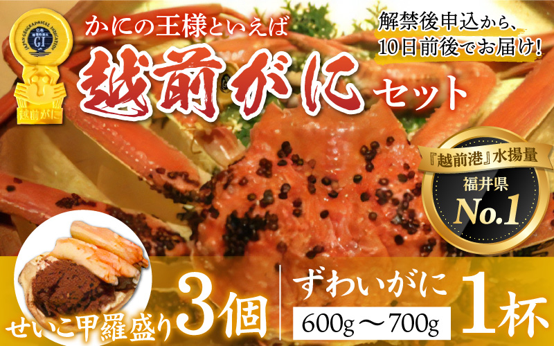 【産地直送】福井冬の味覚！越前がに（ずわいがに活 600～700g 1杯） ＆ せいこ甲羅盛り3個 