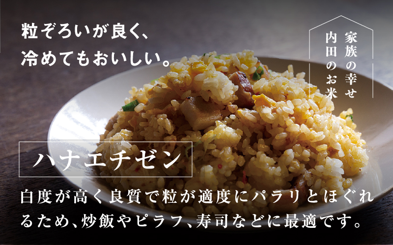 【令和6年産新米】福井県産 内農米 華越前 5kg  黒米300ｇ