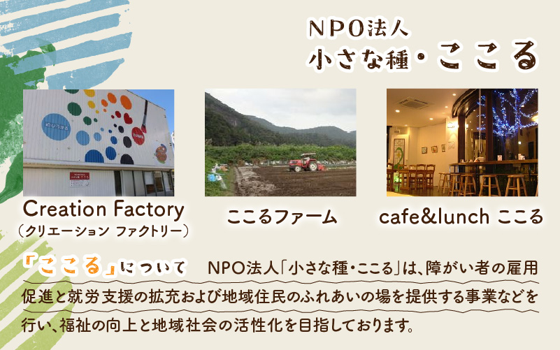 鯖江市産 原木乾燥椎茸「越のてまり」 （大・中サイズ）3パック &（小サイズ）2パック　計5パック