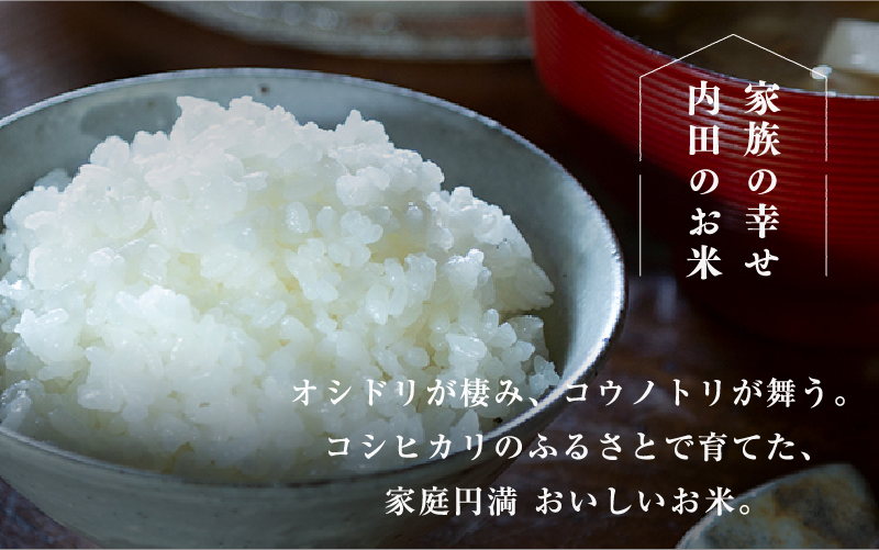 【令和6年産新米】福井県産 内農米 コシヒカリ 5kg  黒米300ｇ 